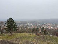 Eladó telek, Pomázon 40 M Ft / költözzbe.hu