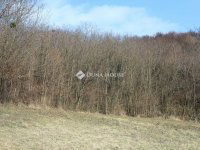 Eladó telek, Alsónemesapátiban 55 M Ft / költözzbe.hu