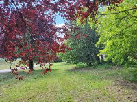 Eladó telek, Kéthelyen 69.9 M Ft / költözzbe.hu