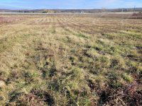 Eladó telek, Sopronban 15.9 M Ft / költözzbe.hu