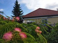 Eladó családi ház, Nagykátán 65 M Ft, 2 szobás