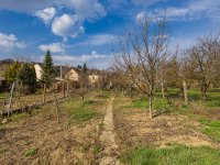 Eladó családi ház, Budakalászon 55 M Ft, 2 szobás