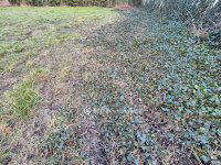 Eladó telek, Szentesen 15 M Ft / költözzbe.hu