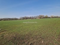 Eladó ipari ingatlan, Tárnokon 150 M Ft / költözzbe.hu