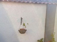 Eladó üzlethelyiség, Bugyin 79 M Ft, 1 szobás