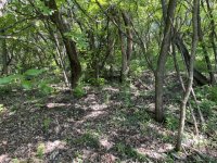 Eladó telek, Verőcén 9.9 M Ft / költözzbe.hu