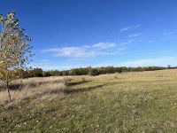 Eladó telek, Mezőörsön 16.5 M Ft / költözzbe.hu