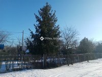 Eladó nyaraló, Tóalmáson 21 M Ft, 1 szobás