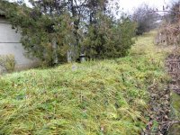 Eladó telek, Pázmándon 15 M Ft / költözzbe.hu