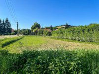 Eladó telek, Bakonyszentkirályon 9.8 M Ft / költözzbe.hu