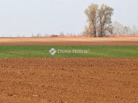 Eladó telek, Kisszálláson 2.6 M Ft / költözzbe.hu