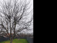 Eladó telek, Vácon 22.9 M Ft / költözzbe.hu