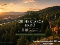 Eladó telek, Sárospatakon 4000 M Ft / költözzbe.hu
