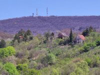 Eladó telek, Pécsett 13 M Ft / költözzbe.hu