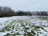 Eladó telek, Pilisen 9.99 M Ft / költözzbe.hu