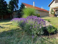 Eladó családi ház, Sátoraljaújhelyen, Deák utcában 75 M Ft