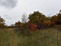 Eladó telek, Pécselyen 24.99 M Ft / költözzbe.hu