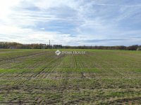Eladó ipari ingatlan, Farmoson 9.9 M Ft / költözzbe.hu