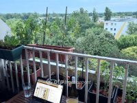 Eladó panellakás, Budapesten, III. kerületben 71.9 M Ft, 2 szobás