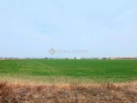 Eladó ipari ingatlan, Szigetszentmiklóson 1773.972 M Ft