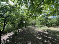 Eladó telek, Nyíregyházán 5.5 M Ft / költözzbe.hu