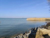 Eladó telek, Balatonszárszón 99 M Ft / költözzbe.hu
