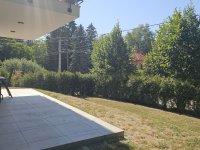 Eladó családi ház, Remeteszőlősön 399 M Ft, 7 szobás