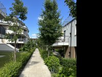 Kiadó téglalakás, albérlet, III. kerületben, Pusztakúti úton