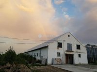 Eladó mezogazdasagi ingatlan, Mátyásdombon 325 M Ft