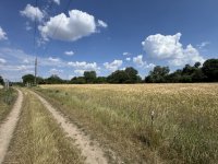 Eladó telek, Veszprémben 17.5 M Ft / költözzbe.hu