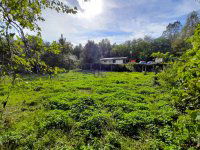 Eladó telek, Tatabányán 15.5 M Ft / költözzbe.hu