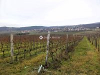 Eladó mezogazdasagi ingatlan, Nadapon 15 M Ft