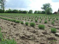 Eladó üzlethelyiség, Csongrádon 135 M Ft / költözzbe.hu