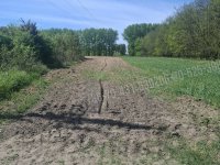 Eladó mezogazdasagi ingatlan, Albertirsán, Kakasi dűlőn 2.5 M Ft