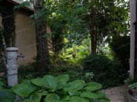 Kiadó családi ház, albérlet, Kecskeméten 800 E Ft / hó