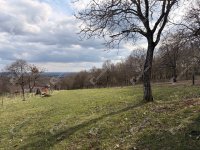 Eladó telek, Gosztolán 2.4 M Ft / költözzbe.hu