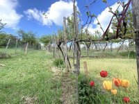Eladó családi ház, Zamárdiban 170 M Ft, 3+3 szobás