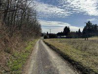 Eladó mezogazdasagi ingatlan, Igalon 2.99 M Ft