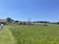 Eladó telek, Palotáson 3.6 M Ft / költözzbe.hu