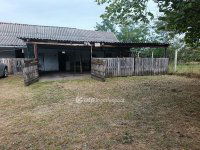 Eladó családi ház, Kabán 39 M Ft, 2 szobás