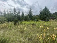 Eladó mezogazdasagi ingatlan