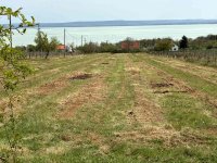 Eladó mezogazdasagi ingatlan, Balatonszepezden 75 M Ft