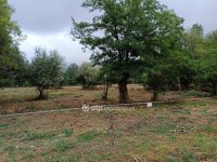 Eladó mezogazdasagi ingatlan, Piliscsabán 90 M Ft