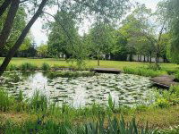 Eladó családi ház, Debrecenben 850 M Ft, 4 szobás