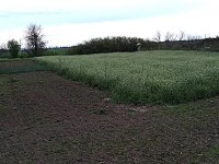 Eladó nyaraló, Törökszentmiklóson 4.5 M Ft, 1 szobás