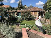 Eladó családi ház, Érden 99 M Ft, 6 szobás