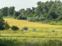 Eladó telek, Kiskörén 11.9 M Ft / költözzbe.hu