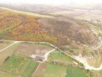 Eladó mezogazdasagi ingatlan, Felsőtárkányban 130 M Ft