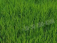 Eladó telek, Dunakilitin 28 M Ft / költözzbe.hu