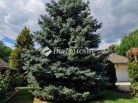 Eladó családi ház, Kecskeméten 139.9 M Ft, 4 szobás